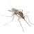 Welcome Mosquitoes & Ticks by Bradford Pest Control of VA