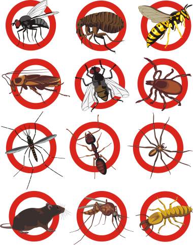 Pest control services by Bradford Pest Control of VA Inc.